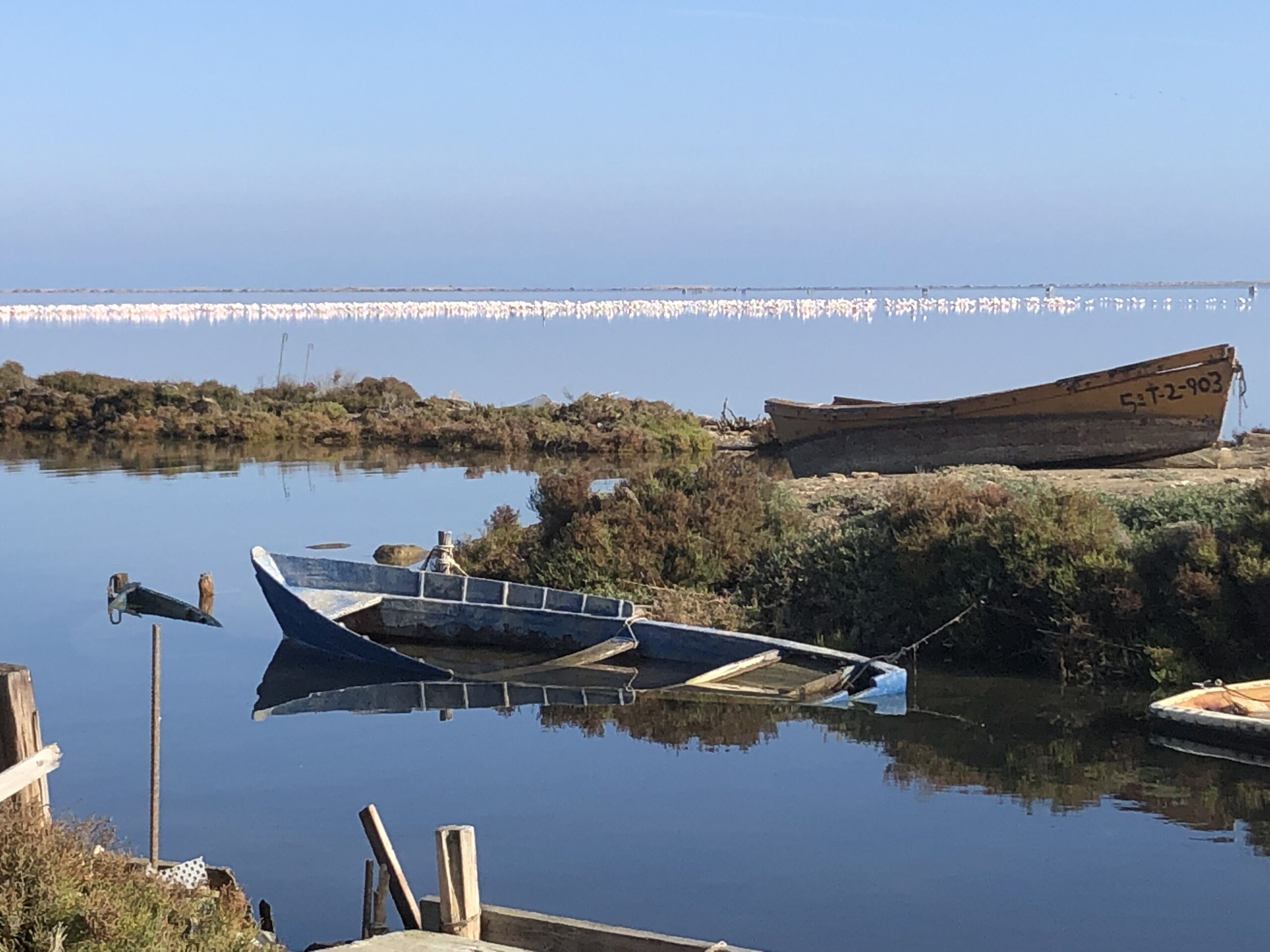casa-rural-illademar-delta-ebre-port-illademar