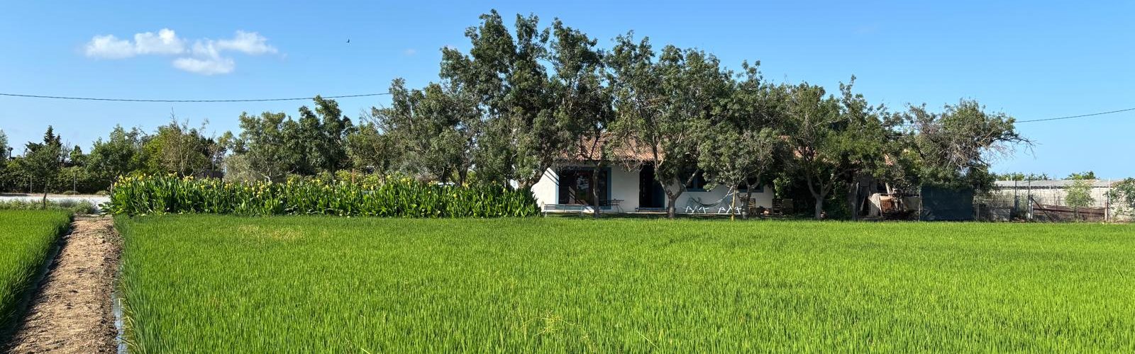 casa-rural-illademar-delta-ebre-casa-exterior-6